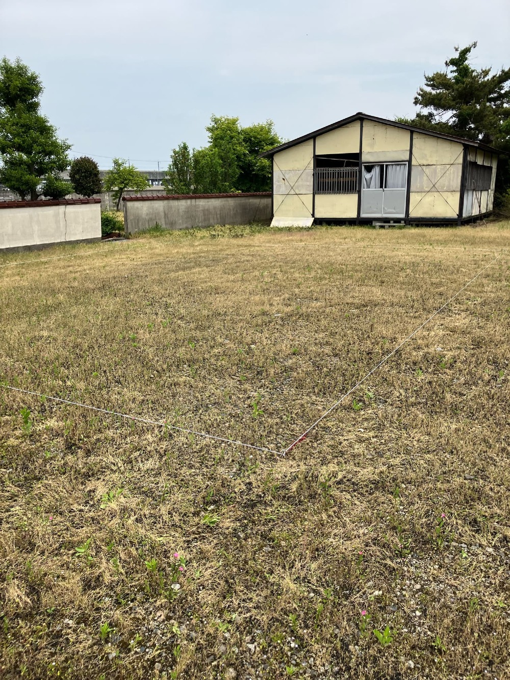 地縄張り