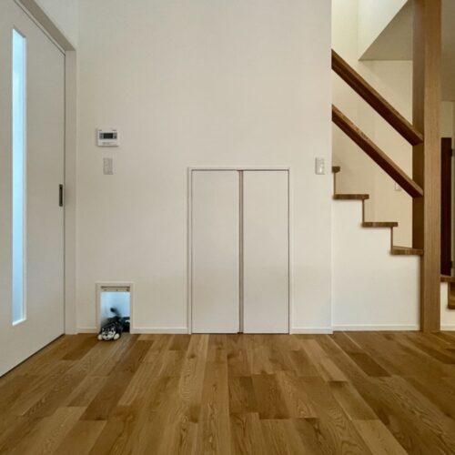 階段下を利用して扉付き収納を施工しました。  ふと横に目をやると…愛猫ちゃんがひょっこり(=^・^=)  壁の向こうはどこに繋がるのかな～？