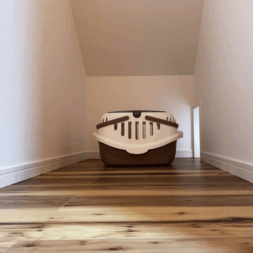 一階のトイレを入り、アーチ型の壁をくぐると猫ちゃん用のトイレがあります。  廊下に繋がる猫ちゃん専用の入り口も設置しました(=^・^=)