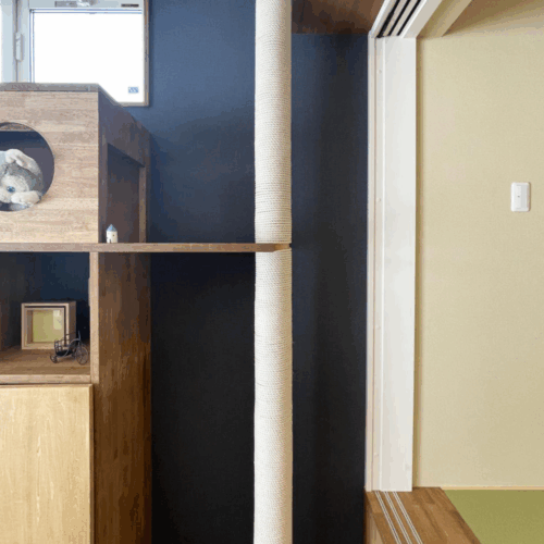 爪とぎ付きのキャットタワーも大工さんお手製です♡